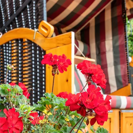 Ferienhaus Haus Deichperle Tini Anton *