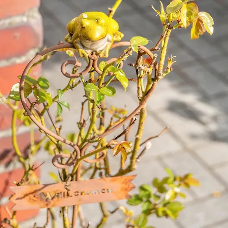 Nyaraló Haus Deichperle Tini Anton Dornum