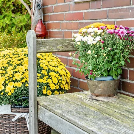 Haus Deichperle Tini Anton * Dornum