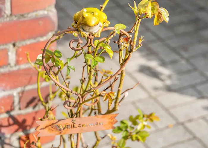 度假居 Haus Deichperle Tini Anton 多努姆